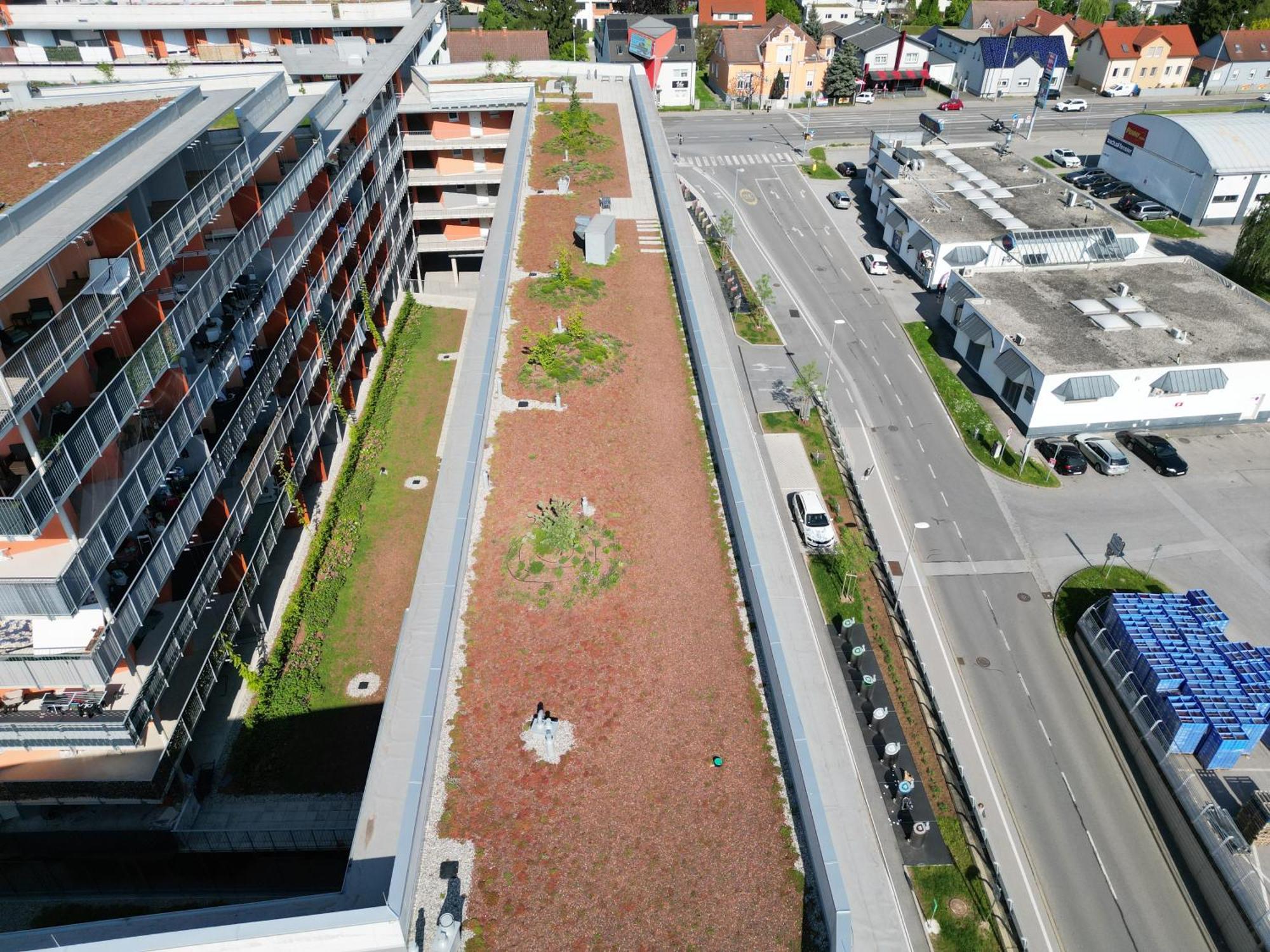 Appartement 100 Qm Penthouse, Self-Check-In, 2 Parkplaetze à Graz Extérieur photo